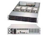 Polywell Server PolyServer C612S16T