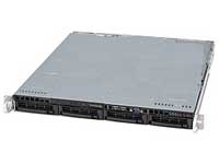 Polywell Server NetDisk 1004B