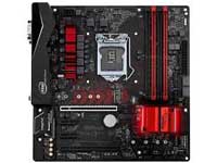 ASRock Motherboard Fatal1ty B250M Performance
