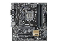 Asus Motherboard B150M-C/CSM
