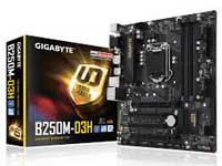 Gigabyte Motherboard GA-B250M-D3H