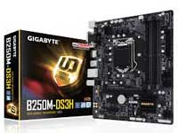 Gigabyte Motherboard GA-B250M-DS3H