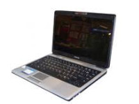 Toshiba Satellite L310 (PSME4L-01R005)