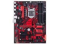 Asus Motherboard EX-B250-V7