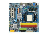 Gigabyte Motherboard GA-MA69GM-S2H