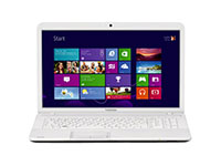 Toshiba Satellite C875-101