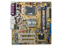 Asus Motherboard PTGV-LA (GRAFITO)