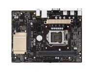 Asus Motherboard H81M-V PLUS