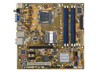 Asus Motherboard Berkeley
