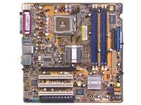 Asus Motherboard Grouper