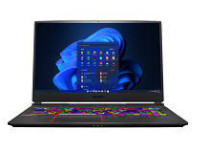 MSI (Micro-Star) Notebook Raider GE75 10SFS-221