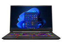 MSI (Micro-Star) Notebook Raider GE75 10SFS-225