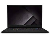 MSI (Micro-Star) Notebook GS66 Stealth 10SF-005