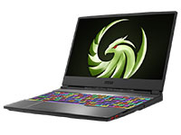MSI (Micro-Star) Notebook ALPHA 15 A3DD-003