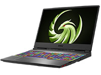 MSI (Micro-Star) Notebook ALPHA 15 A3DD-004