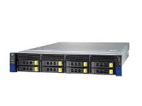 Penguin Computing Rackmount Server Altus XE2214GT