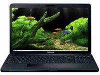 Toshiba Satellite C660 (PSC1NV-02N019AR)