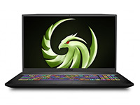 MSI (Micro-Star) Notebook Bravo 17 A4DDR