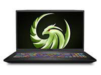 MSI (Micro-Star) Notebook Bravo 17 A4DDR-085
