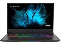 Medion Notebook Erazer Beast X10
