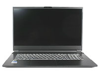 Clevo Notebook NH77DDW