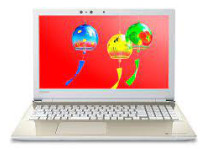 Toshiba DynaBook T55/GG