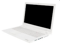 Toshiba Satellite C55-C-19C