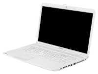 Toshiba Satellite C875-10T