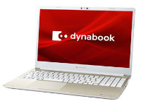 Toshiba DynaBook P1-C7PP-BG