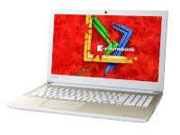 Toshiba DynaBook EX/85AG
