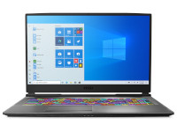 MSI (Micro-Star) Notebook Alpha 17 A4DEK-006