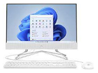 HP All-in-One 22-b350ng