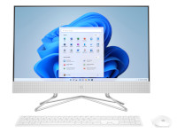 HP All-in-One 22-c0016ng