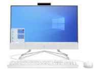 HP All-in-One 22-df0009nv