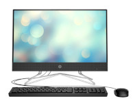 HP All-in-One 22-df0010ny