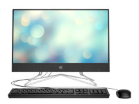 HP All-in-One 22-df0010ur