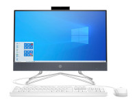 HP All-in-One 22-df0013w
