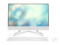 HP All-in-One 22-df0066ur