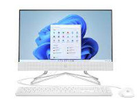 HP All-in-One 22-df0079nl