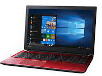 Toshiba DynaBook P1-E5JN-BR
