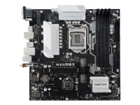 Biostar Motherboard B560MH-E PRO