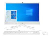 HP All-in-One 21-B0007la