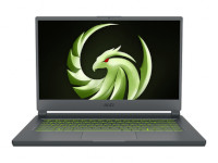 MSI (Micro-Star) Notebook Delta 15 A5EFK-001