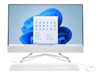 HP All-in-One 22-df1004la