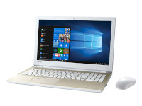 Toshiba DynaBook P3-X5RS-EG