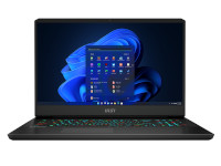 MSI (Micro-Star) Notebook GP76 Vector 12UGS-618