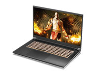 Clevo Notebook PD70PNP