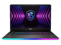 MSI (Micro-Star) Notebook Raider GE77HX 12UHS-083