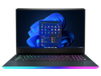 MSI (Micro-Star) Notebook Raider GE76 11UH-461