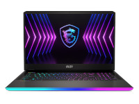 MSI (Micro-Star) Notebook Raider GE77HX 12UHS-082